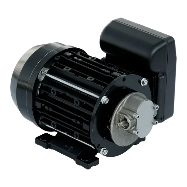 Garda ac 5 230v 50hz electric pumps pumps piusi